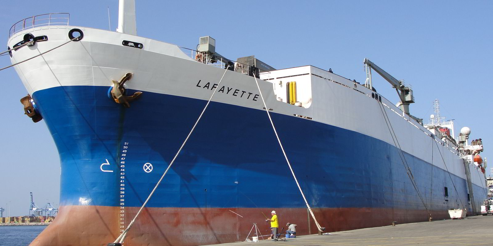 Cost-saving Container Liner for Fish Meal Transport from China manufacturer  - LAF