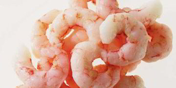 Frozen food figurehead flags up ‘fresh’ fish potential | IntraFish.com