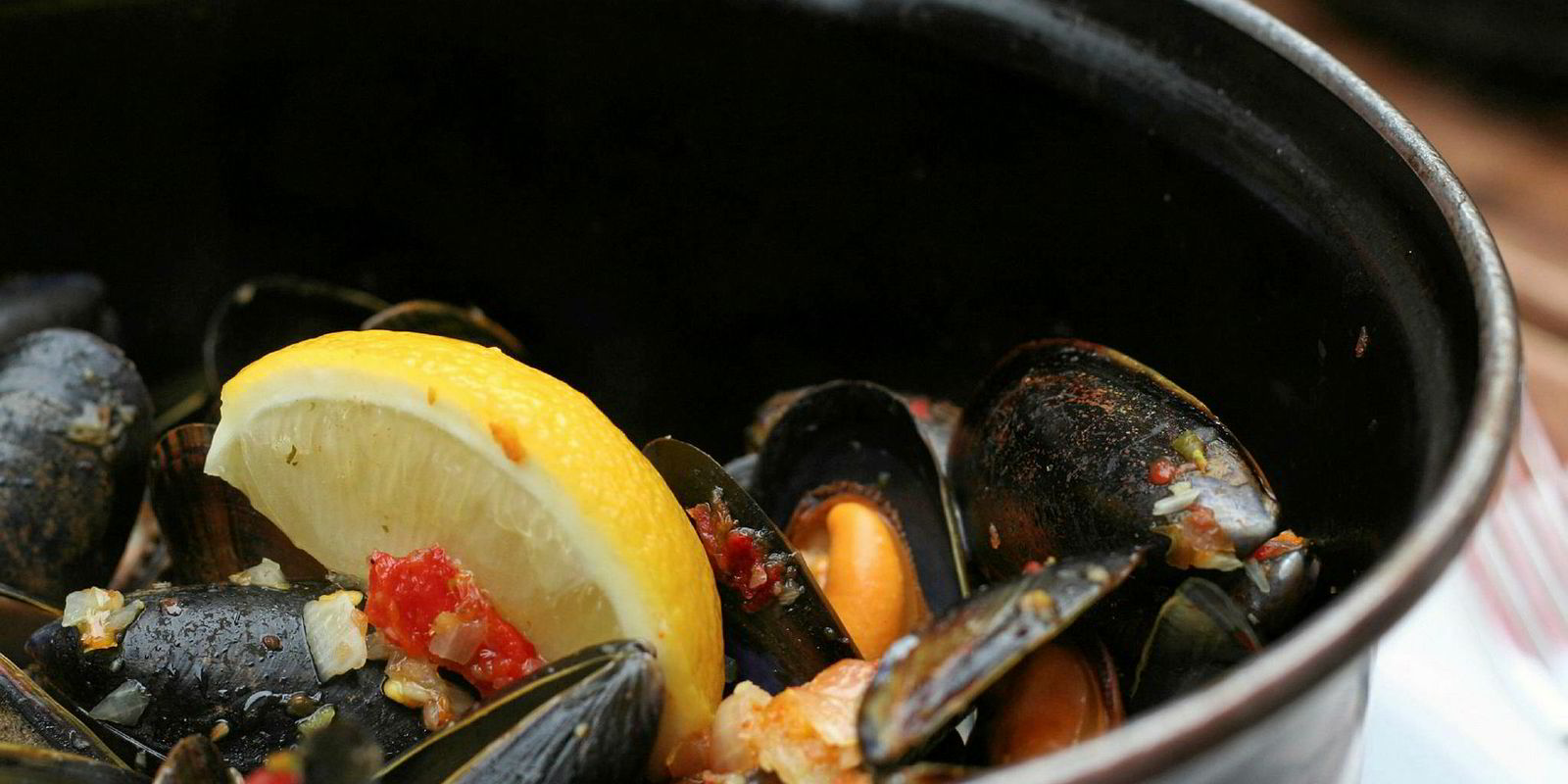 Canadian investment fund sees 'first mover advantage' in aquaculture