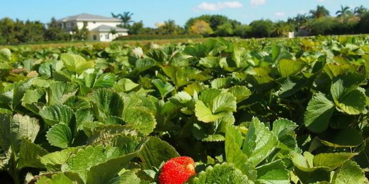 Spraberry field forever for Pioneer | Upstream Online