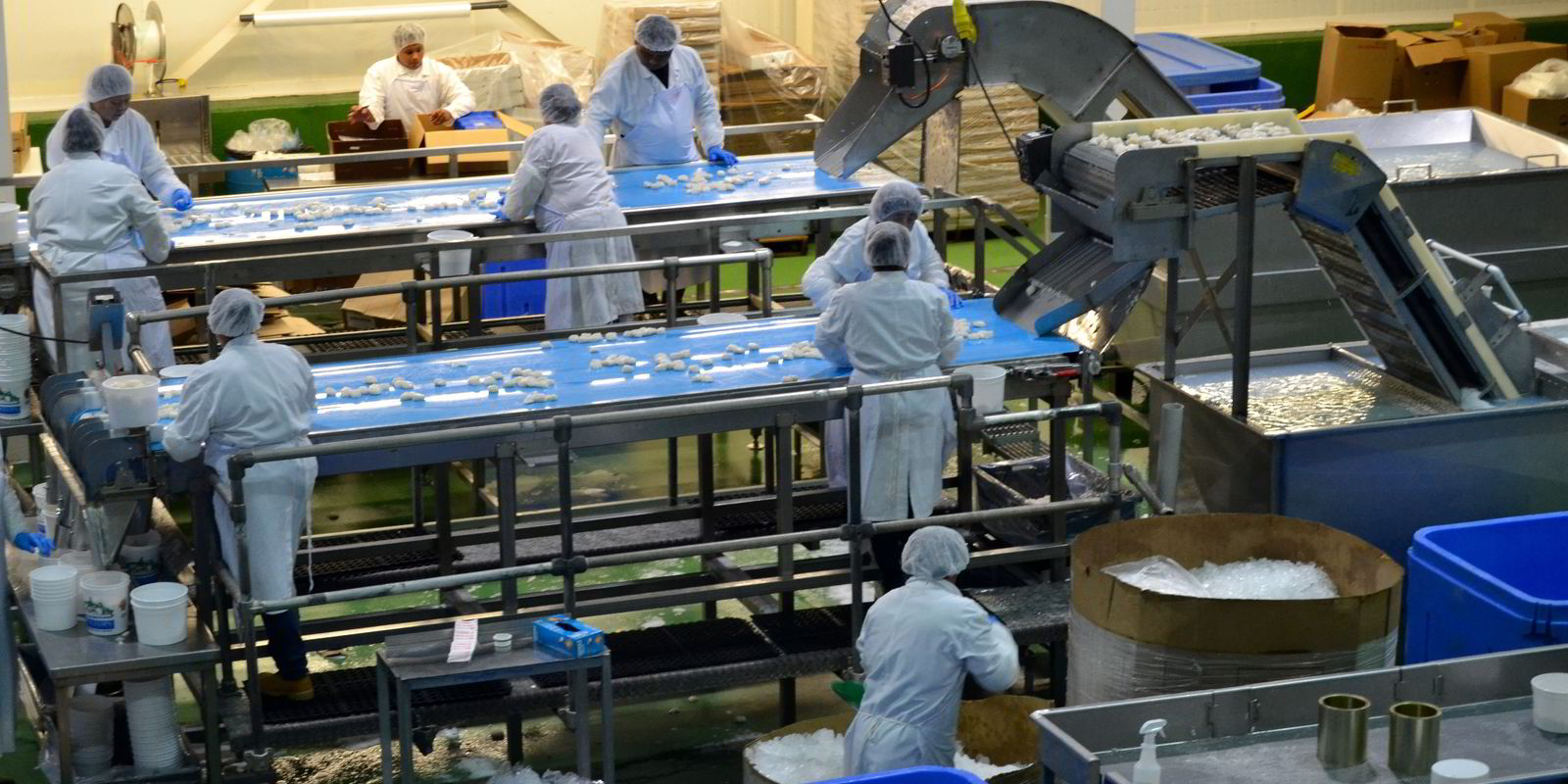 Photo gallery Peek inside Seatrade's new scallop processing facility