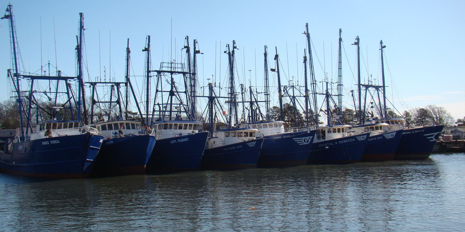 Blue Harvest Fisheries sets sights on scallop dominance | IntraFish.com