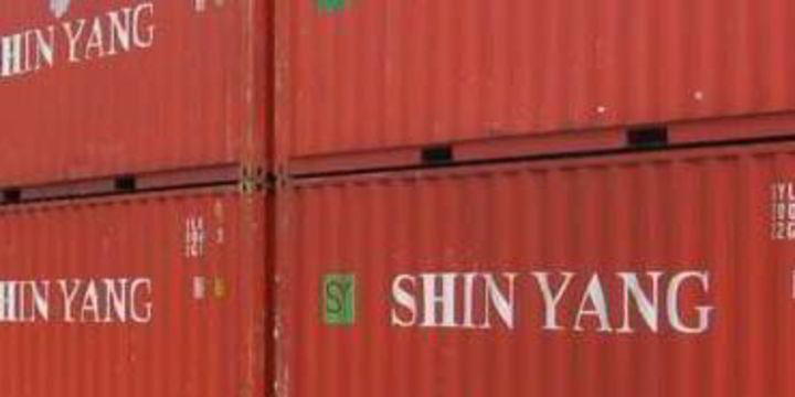 Shin Yang Shipping Sees Profit Decline Tradewinds