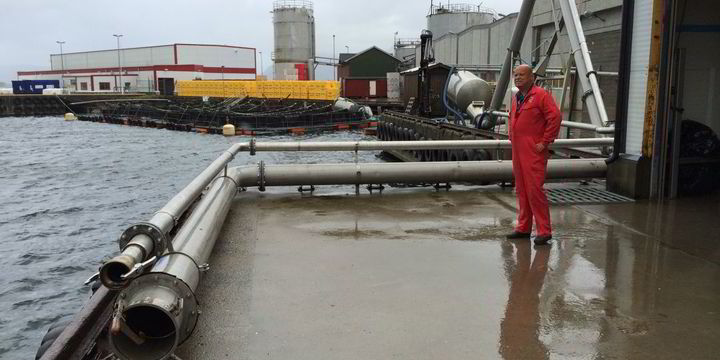 Trått på dorgemakrell | Fiskeribladet