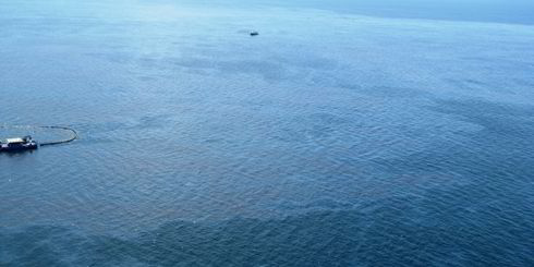 Food chain impacts of oil spill are enormous Biology Diagrams