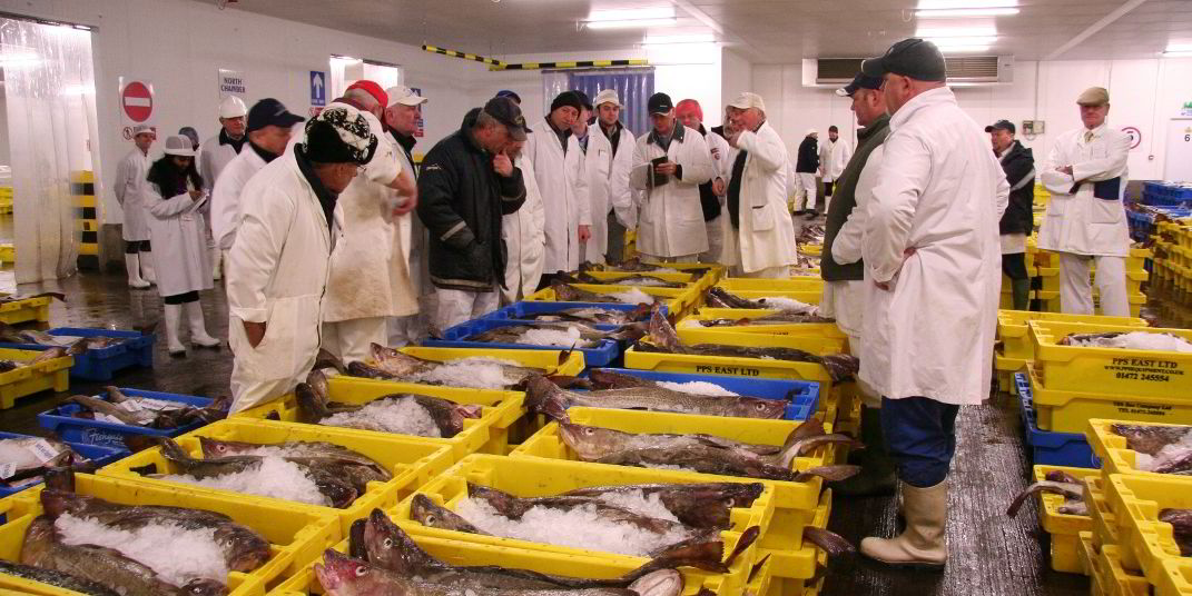 Stop the presses! Cod glut ahead | IntraFish.com