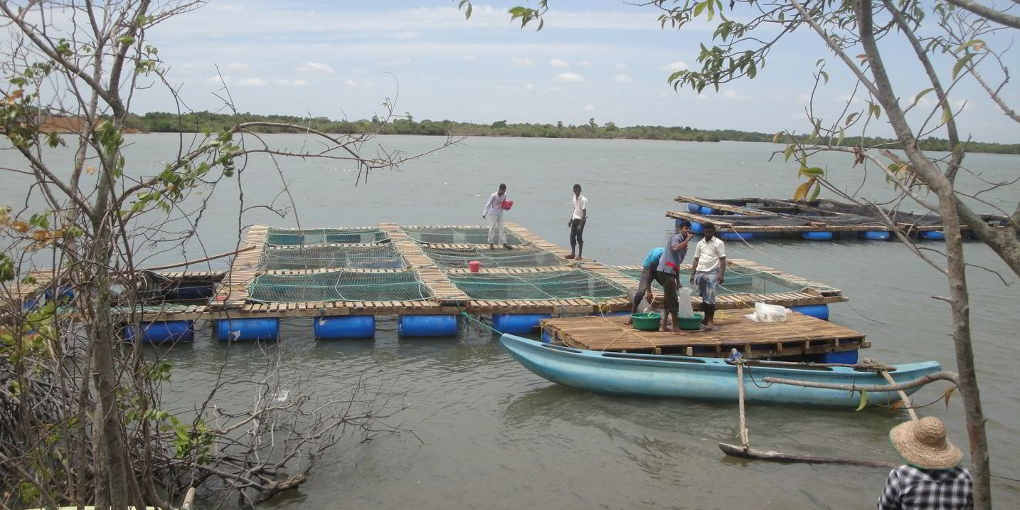 Sri Lanka commits 16.5 million to develop freshwater aquaculture