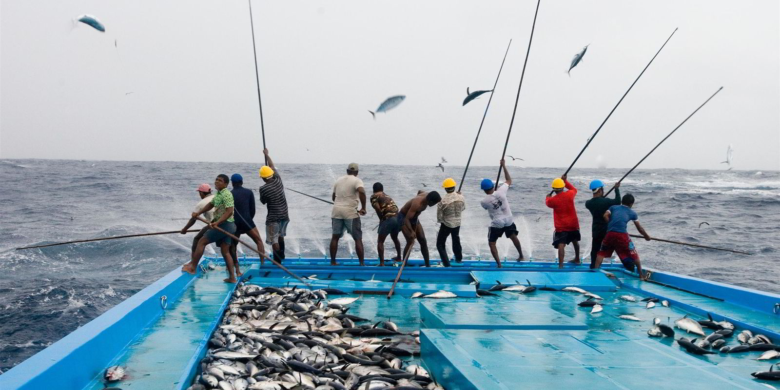 Line fishing discount