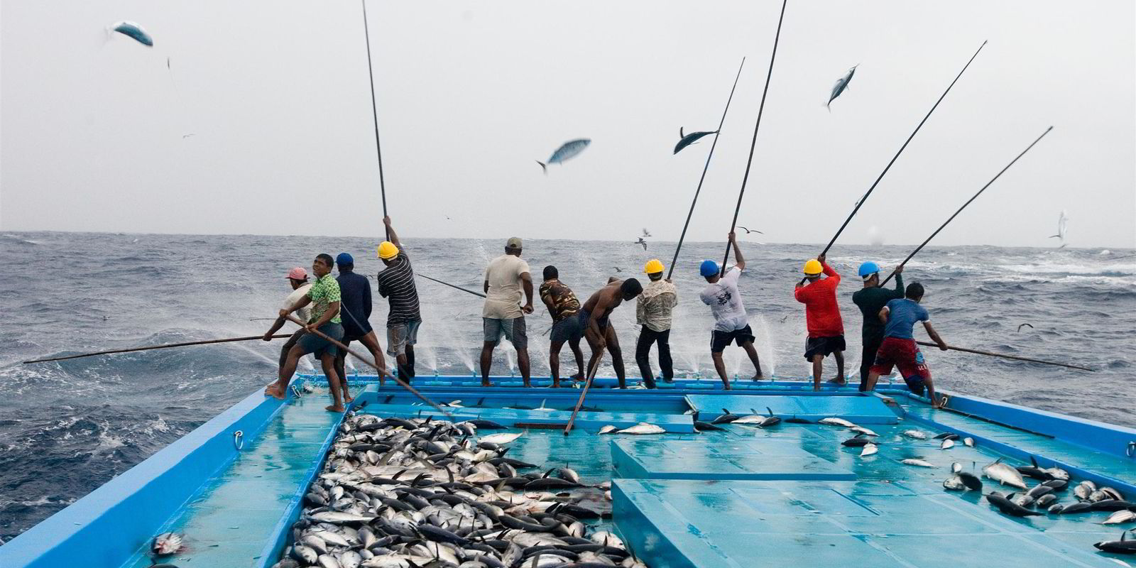 Tuna Fisherman -  Australia