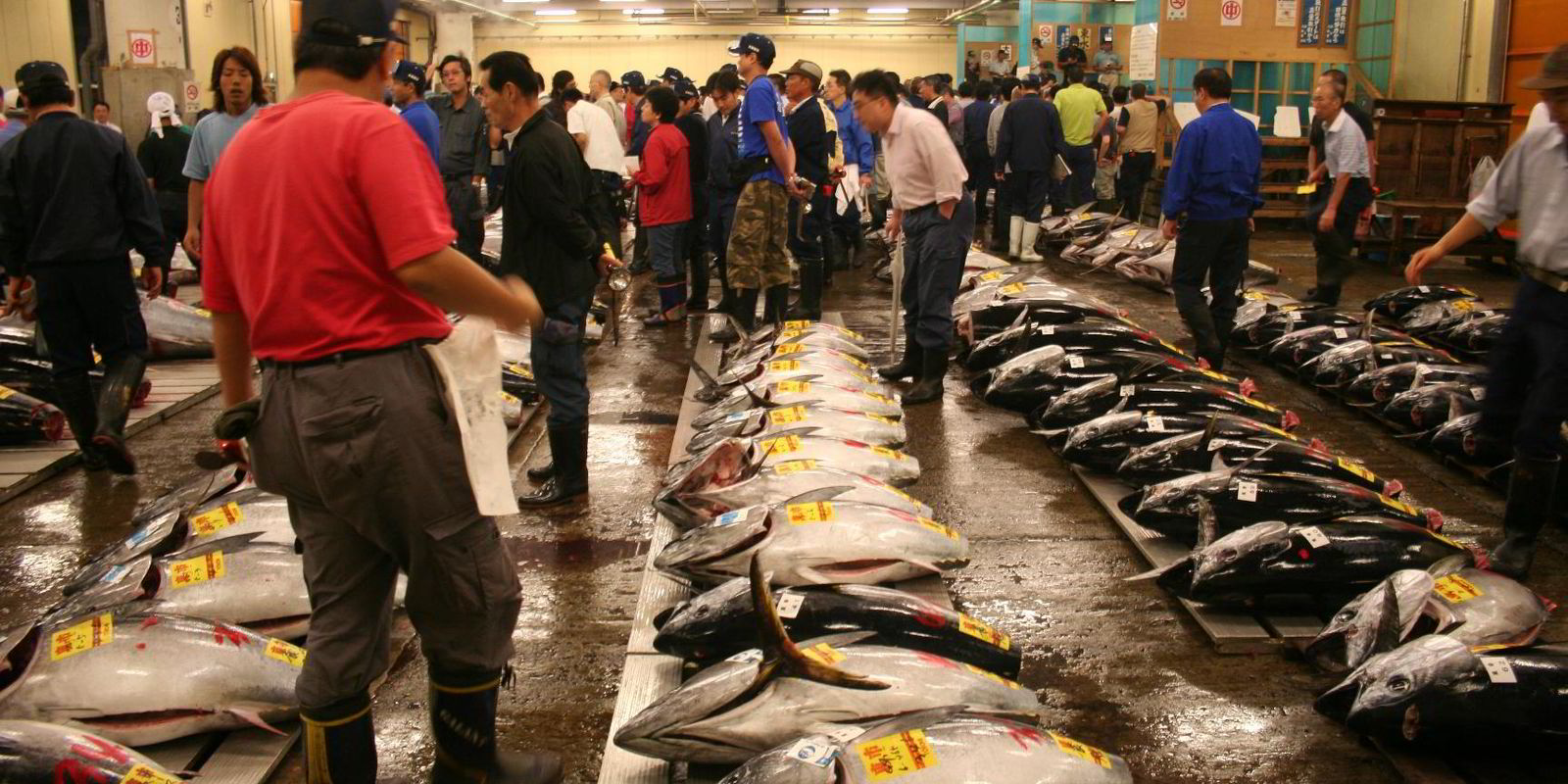 Seafood markets around the world