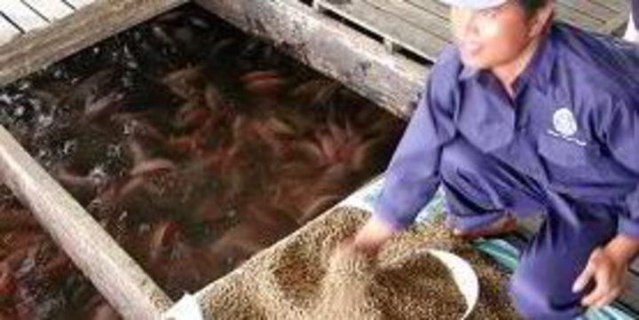 Aquaculture key to Asian seafood growth | IntraFish.com