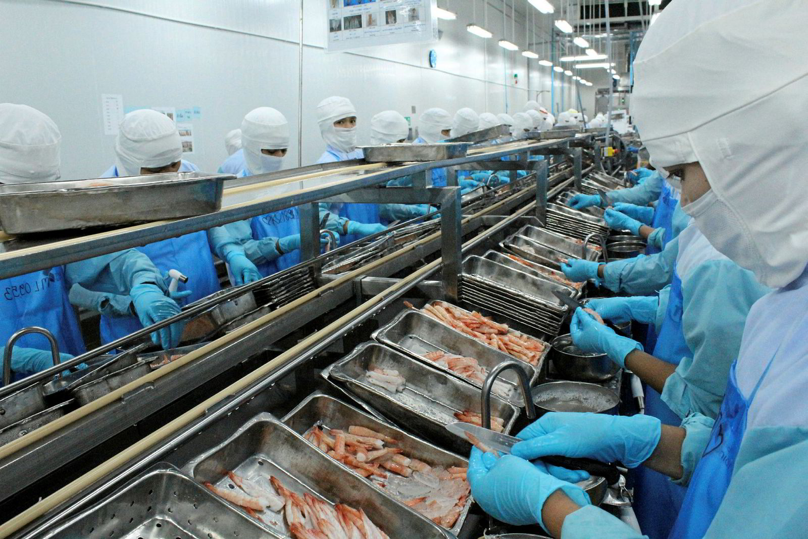 Inside Thai Union's shrimp processing plant Intrafish