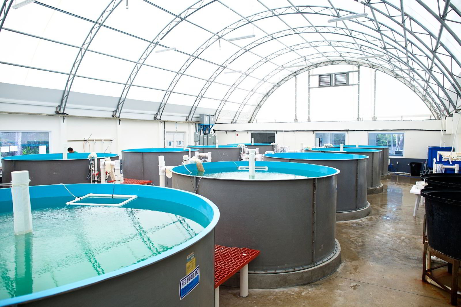 Open Blue Cobia Farm , THE 10 BEST Utah Farms (Updated 2024) – WAMSVJ