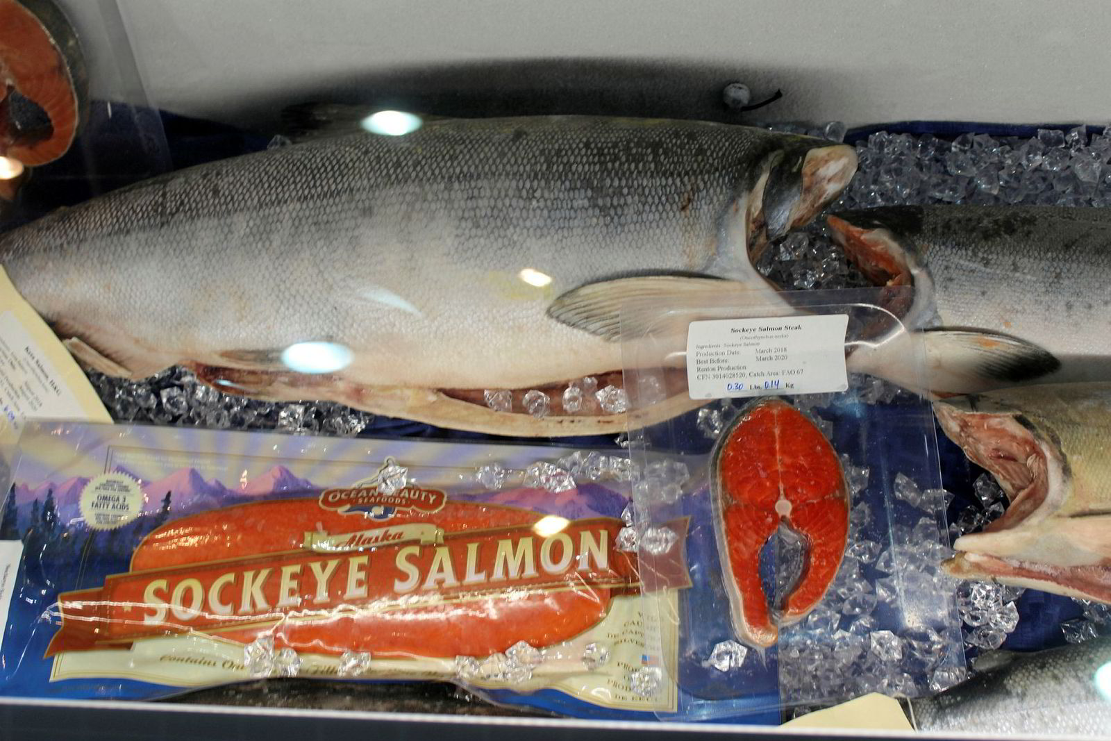 Names Of Shellfish Gallery
