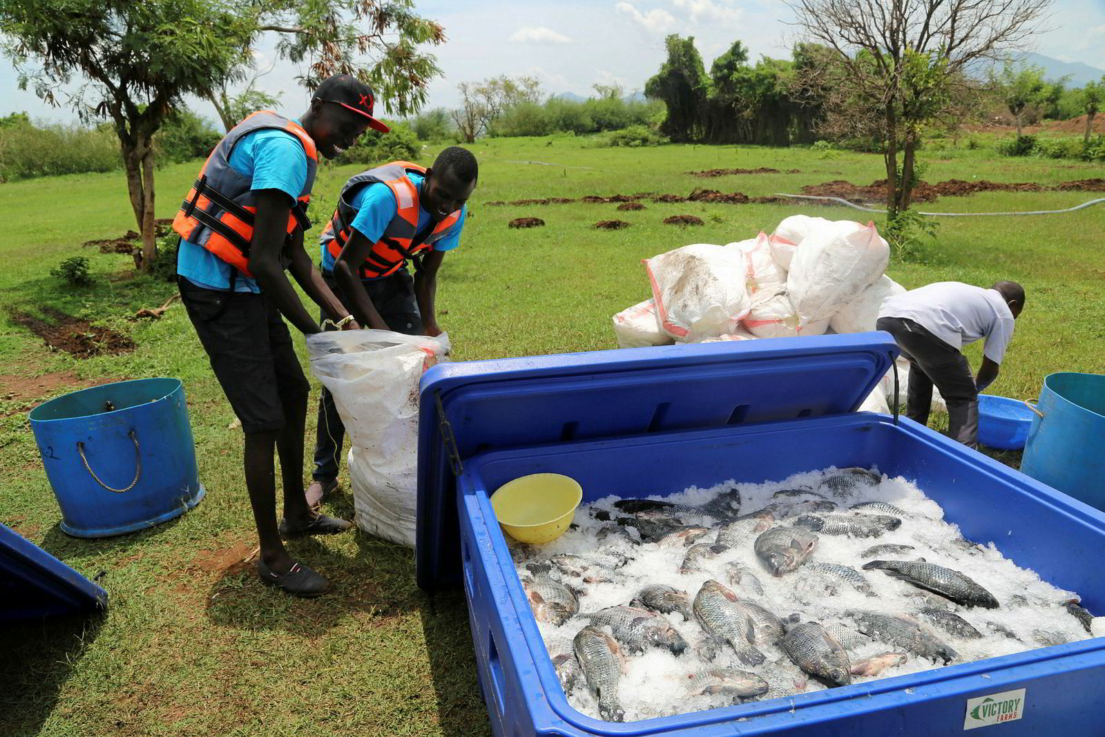 Farm Focus Meet Africas Fastest Growing Fish Farm Intrafish