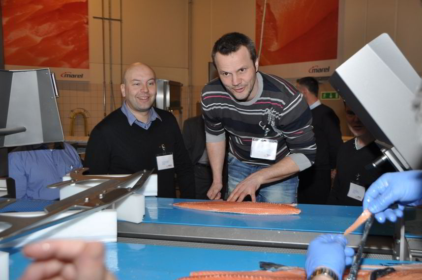 speed dating in pennsylvania