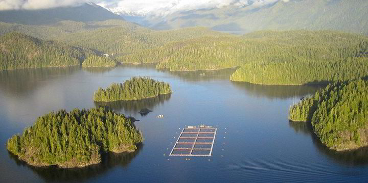 Canada government report says significant land-based salmon production ...
