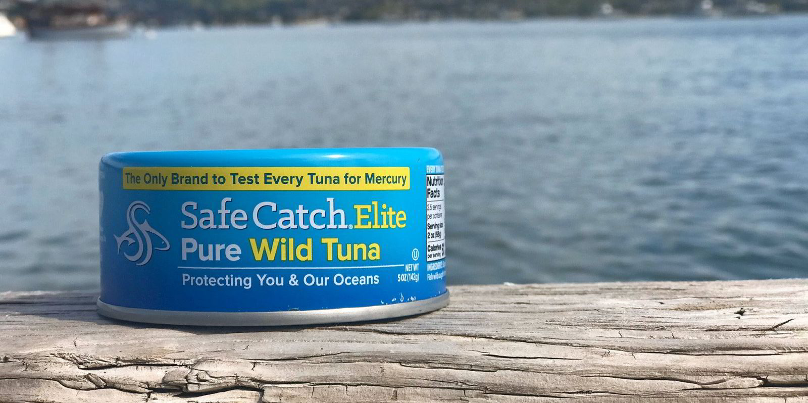Safe Catch Tuna is a startup on a mission to eradicate the risk of mercury  poisoning from your fish