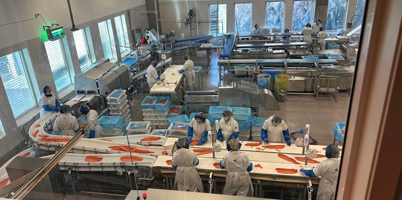Norway salmon prices stabilize as buyers hold back | IntraFish.com