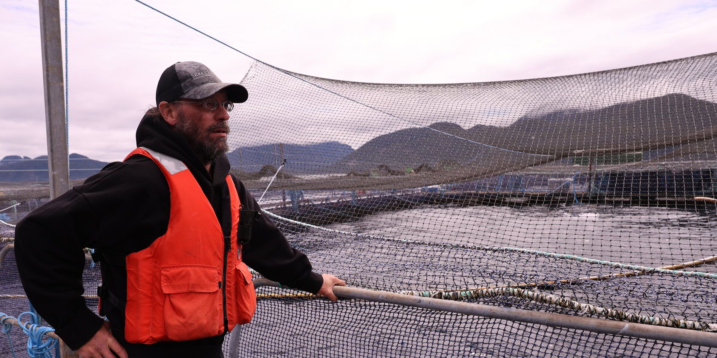 Mowi broodstock program remains a testament to company’s resilience in British Columbia