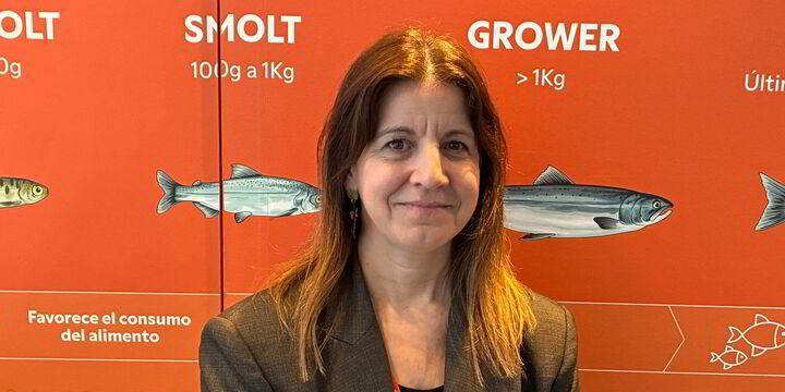 Aker krill arm eyes stronger foothold in Chile salmon feed market