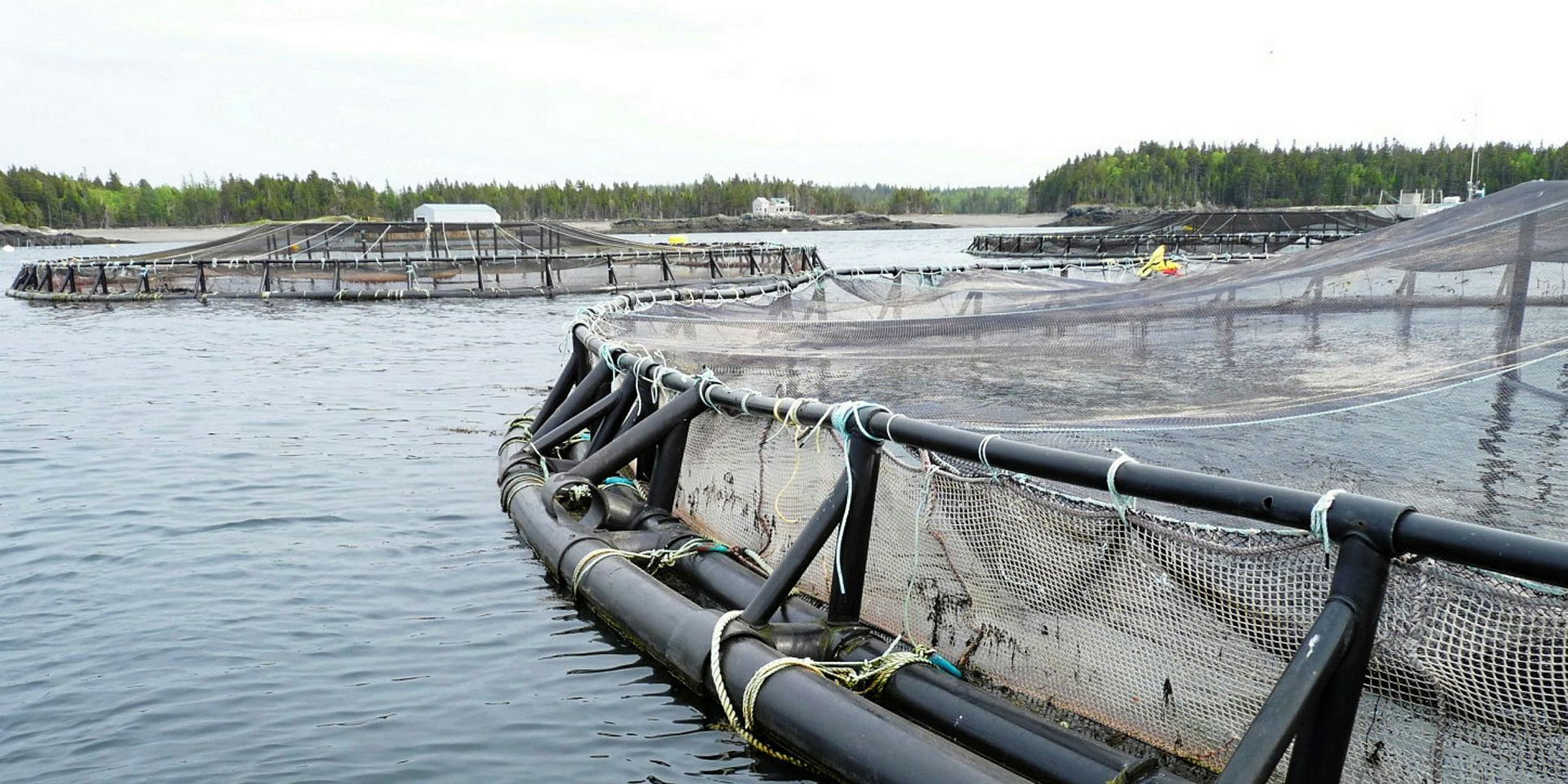 New Brunswick Splits Oversight Of Aquaculture And Agriculture Sectors ...