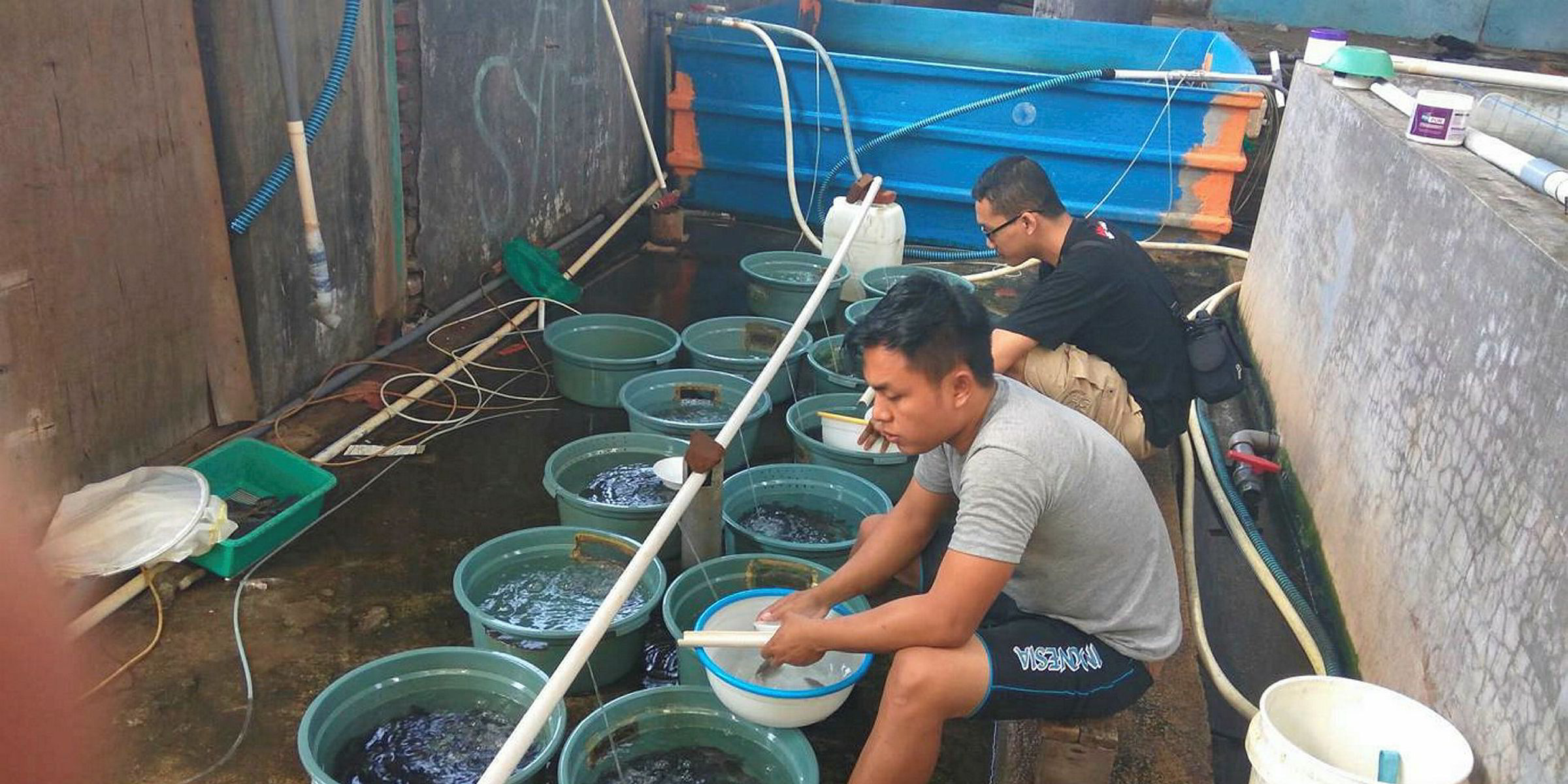 Aquaculture investment platform wins prize