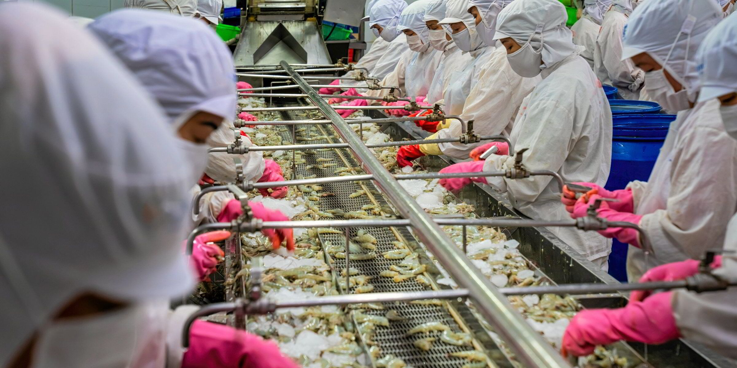 ‘Extremely surprised and deeply concerned’: US slaps Vietnam with record-high anti-dumping tariff