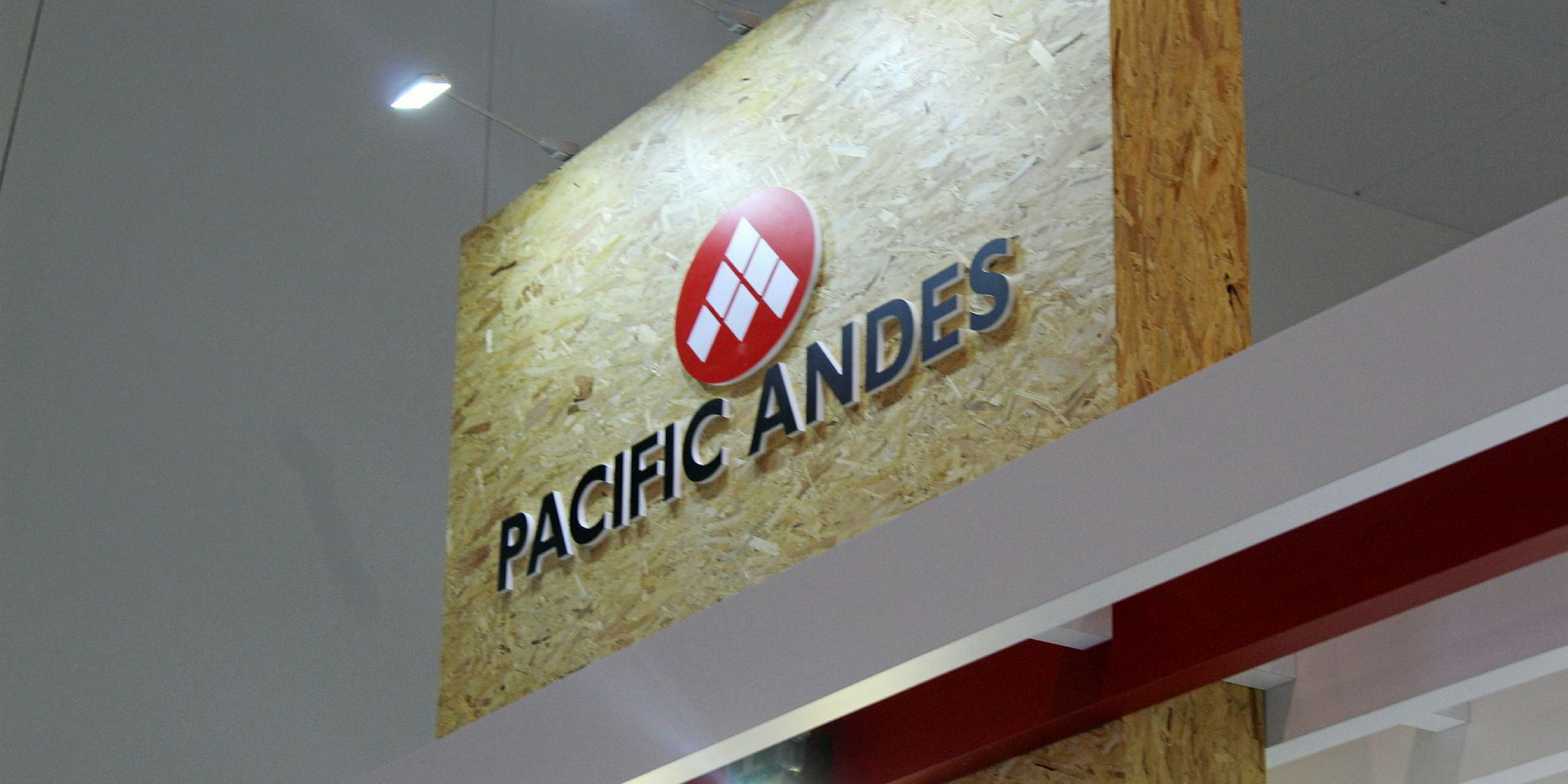 Pacific Andes subsidiary to be wound up