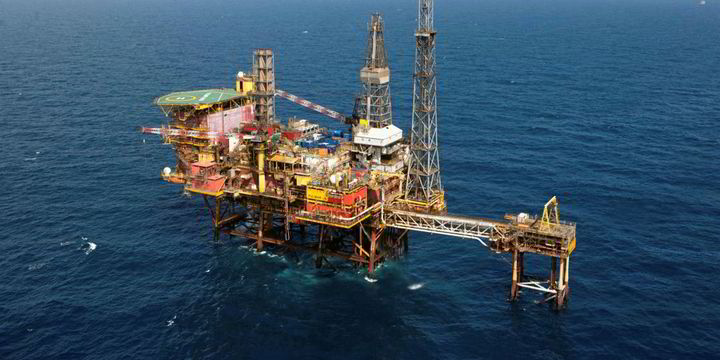 Cranes incidences essay picture