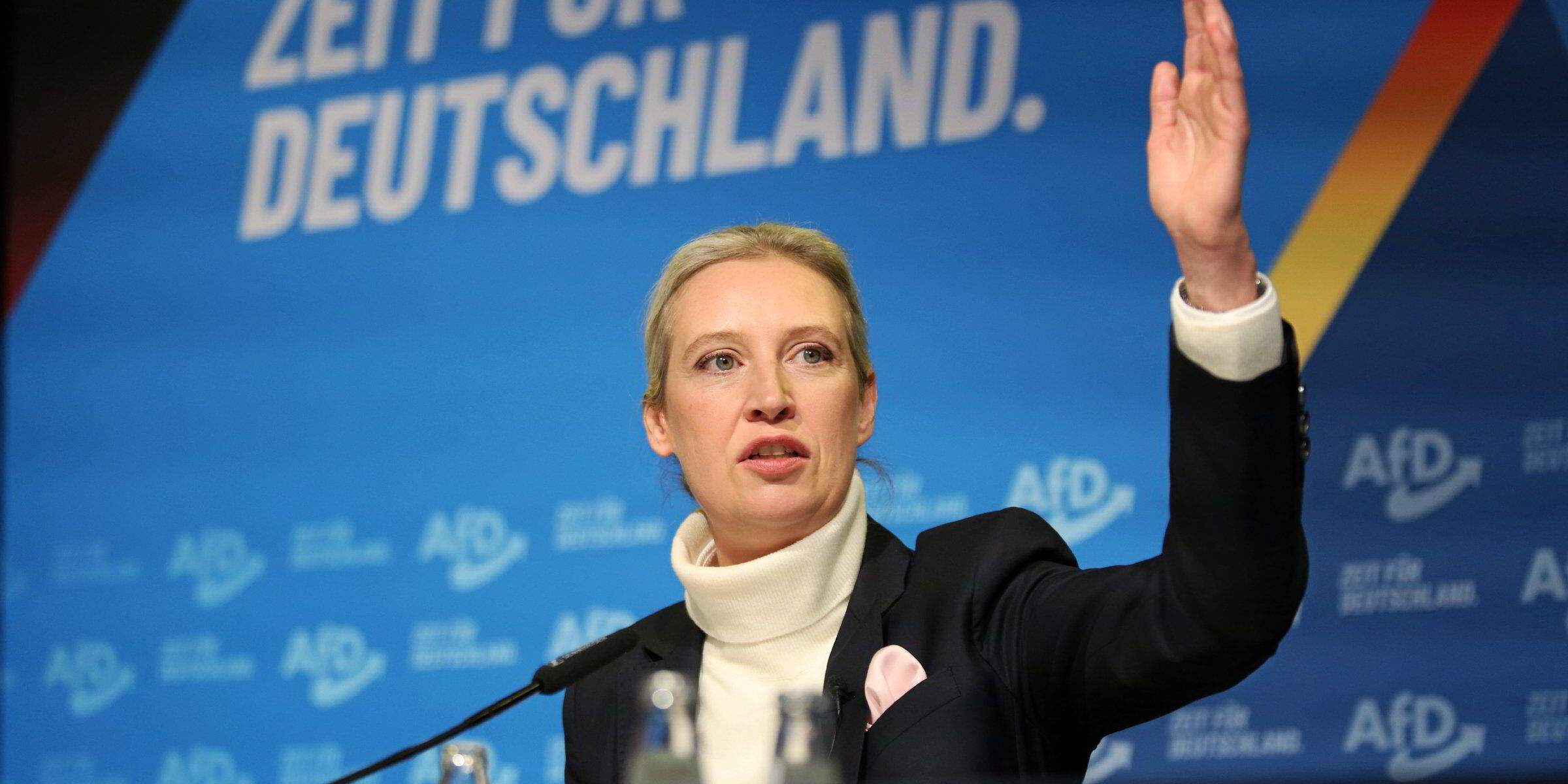 Germany's AfD trumps Trump with threat to tear down 'windmills of shame'