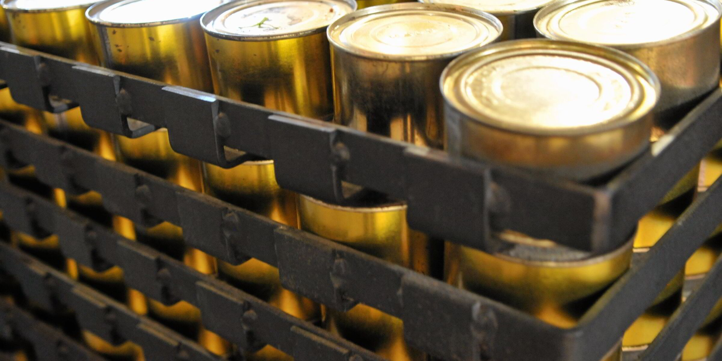 US government seeking more pollock and salmon
