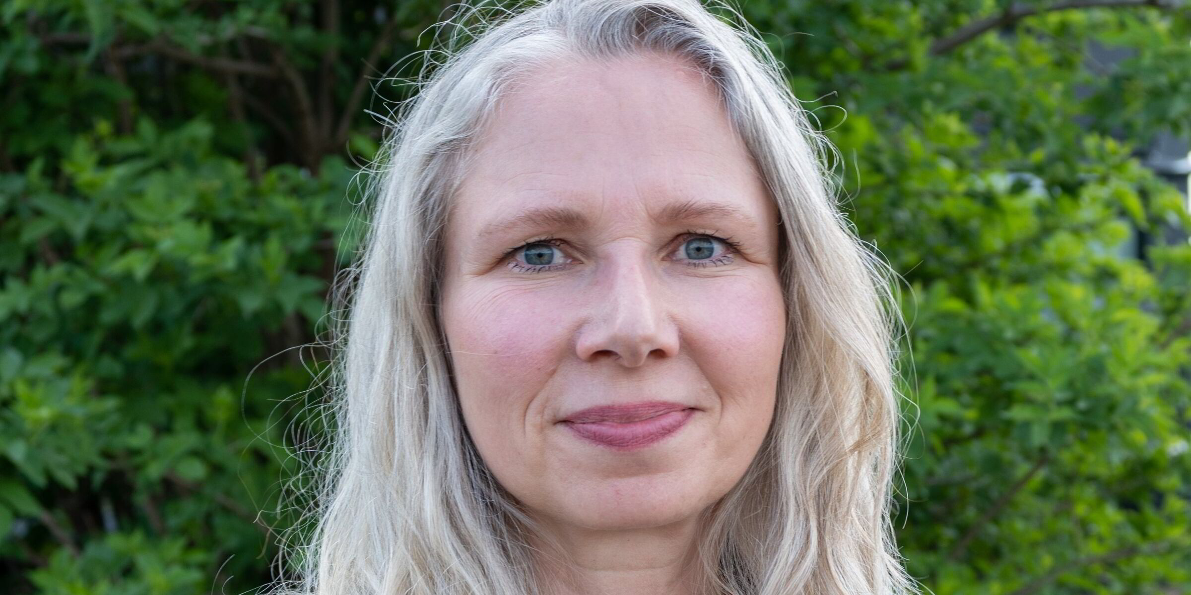 Elvias store tilknytningssaker har fått et nytt hjem – Elbits er blitt datahub