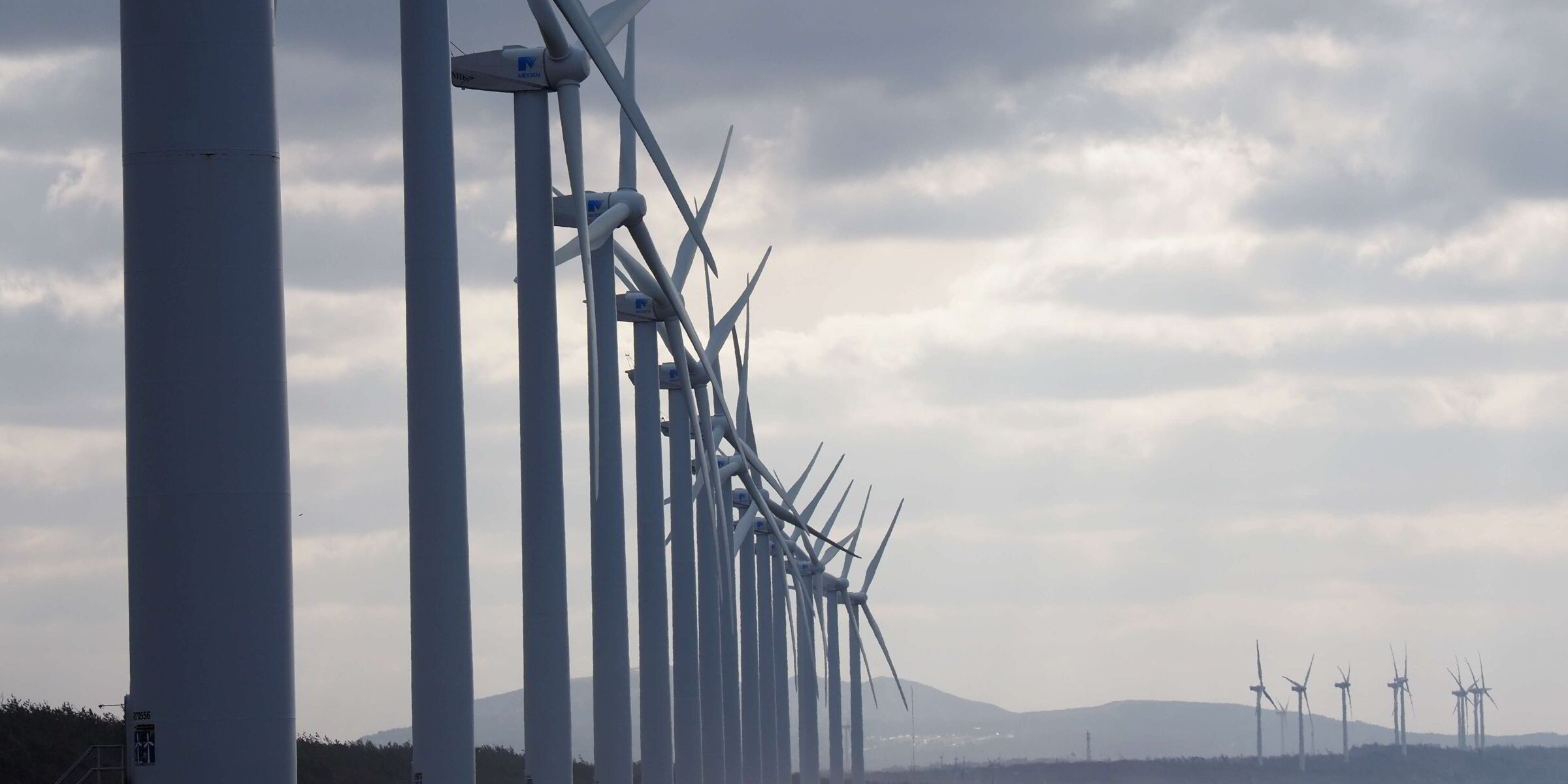 Japanese offshore wind hotspot urges government to relaunch tender quickly