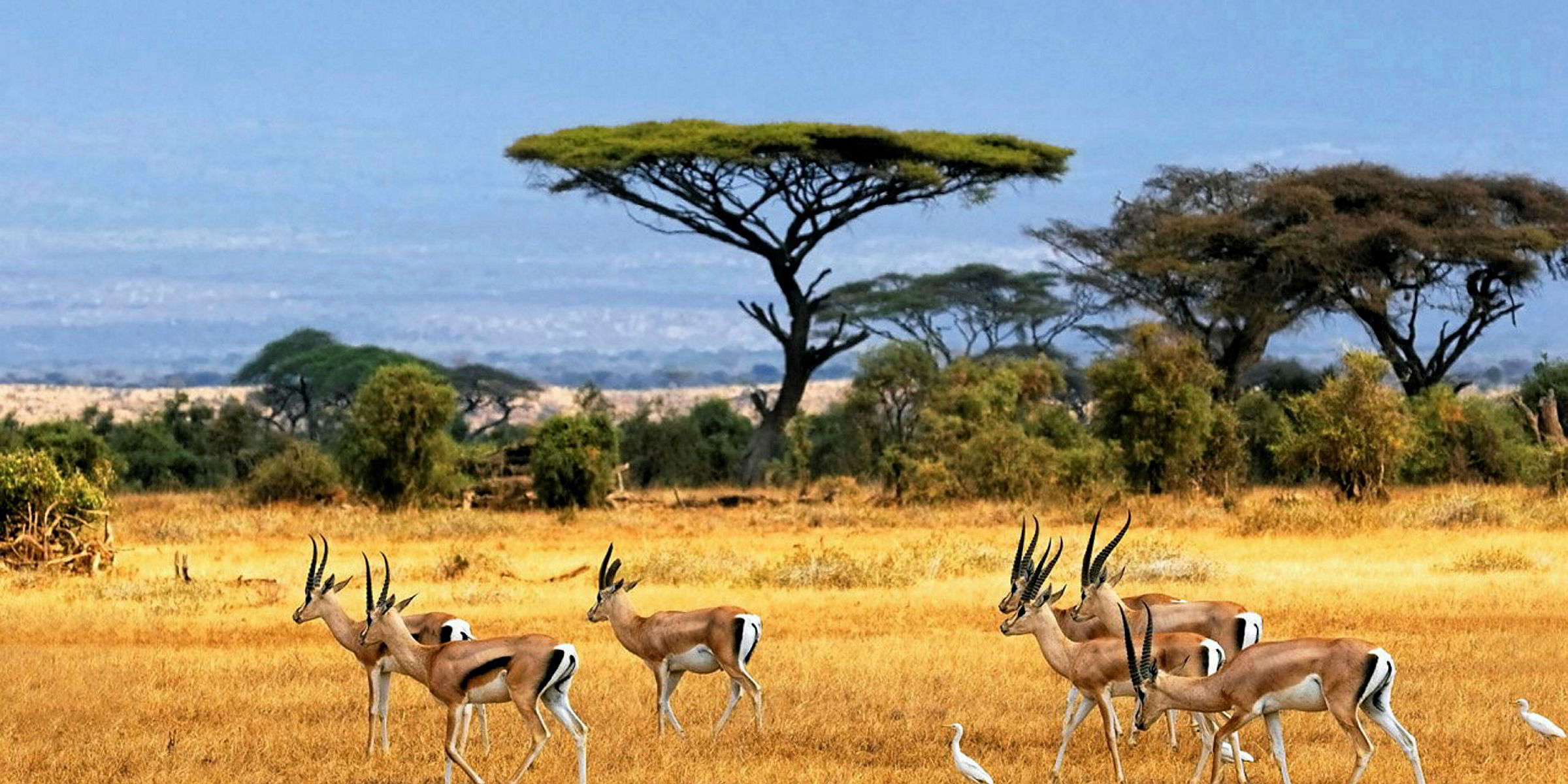 Fresh fields 'on horizon' in Africa Upstream Online