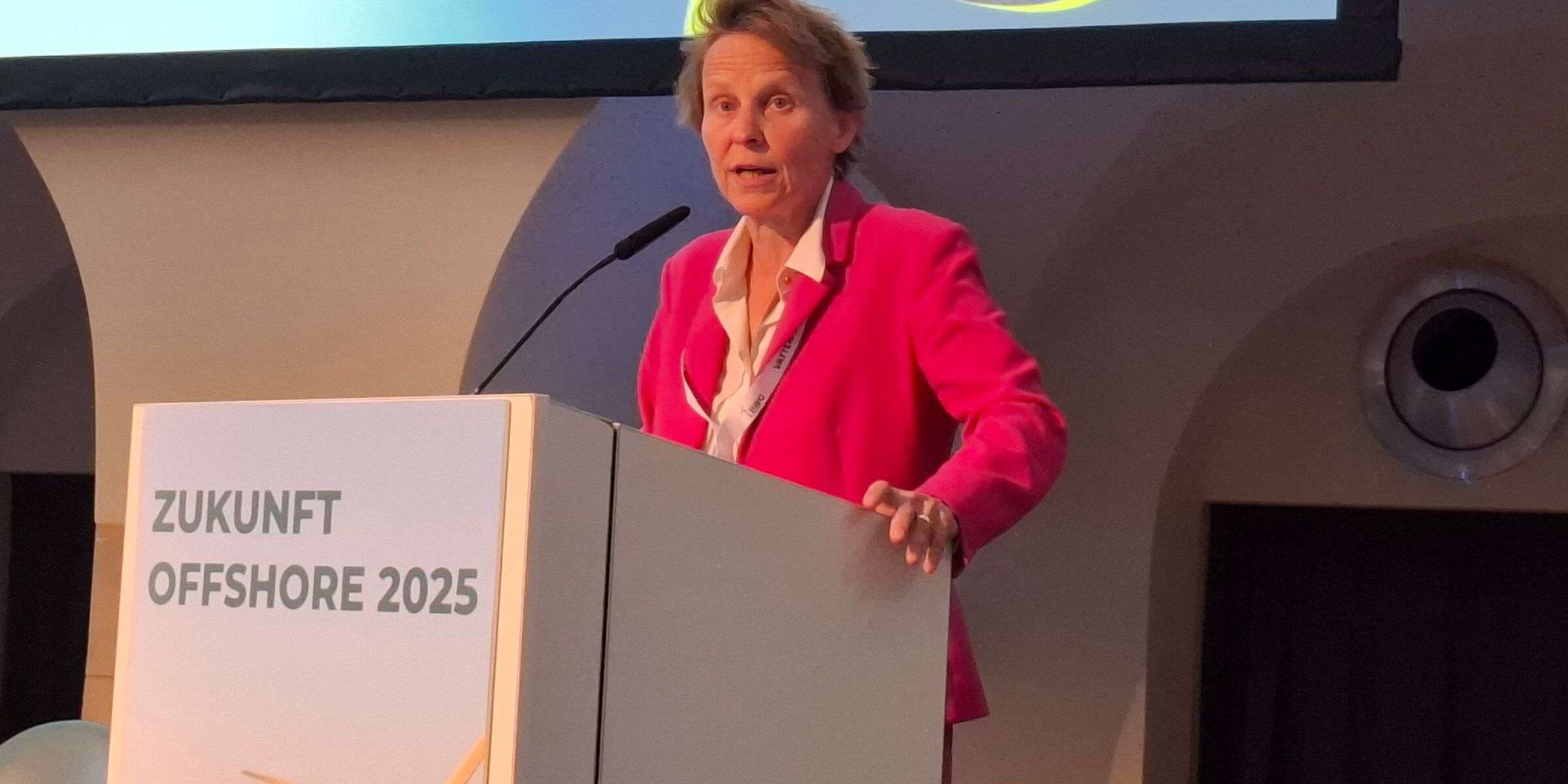 German offshore wind is worried: 'Do we have to hold our breath for five years?'