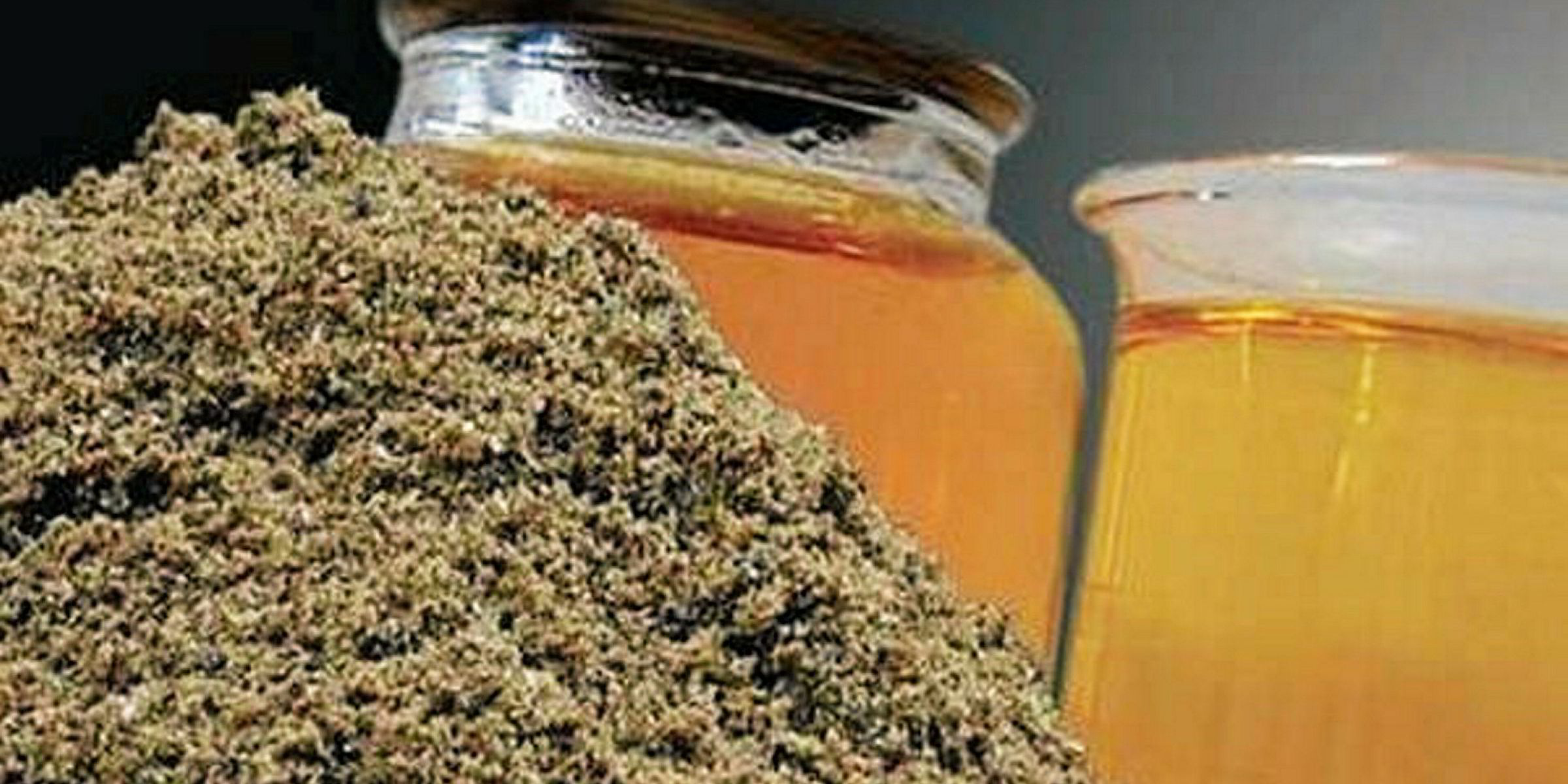 Fishmeal and fish oil prices hold steady in March Intrafish