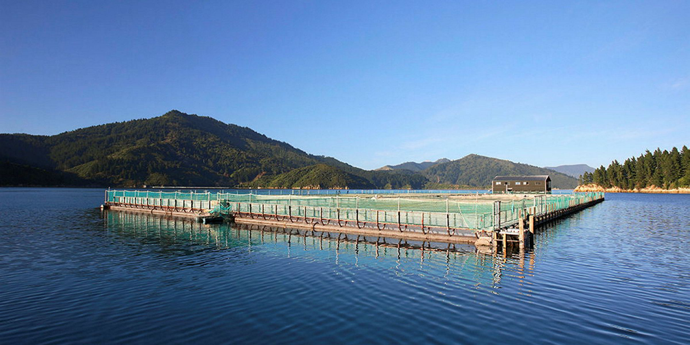 NZ seafood industry launches major sustainability campaign