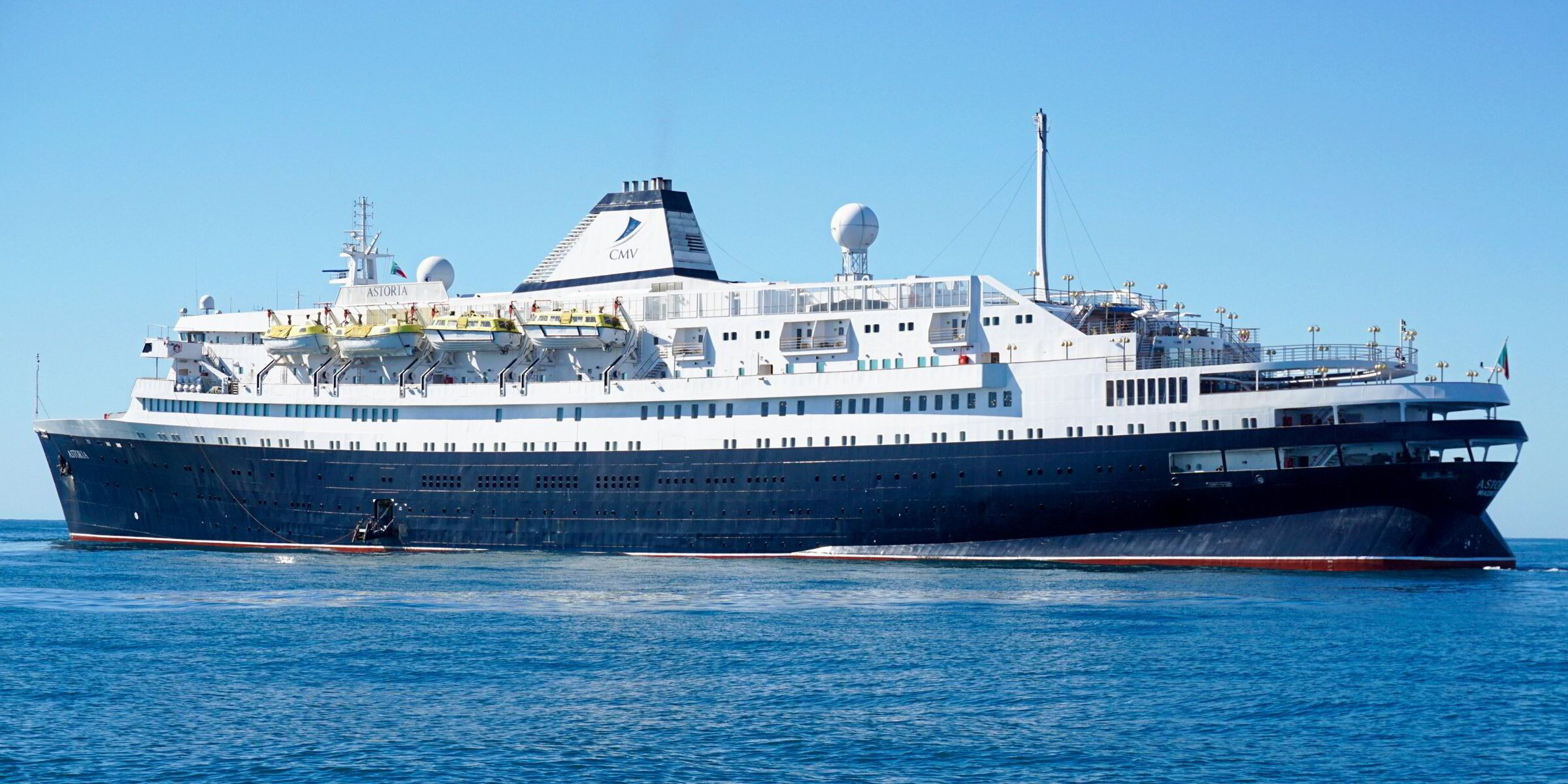 Maltese The Cruiser Who Cruising 洋楽  Is
