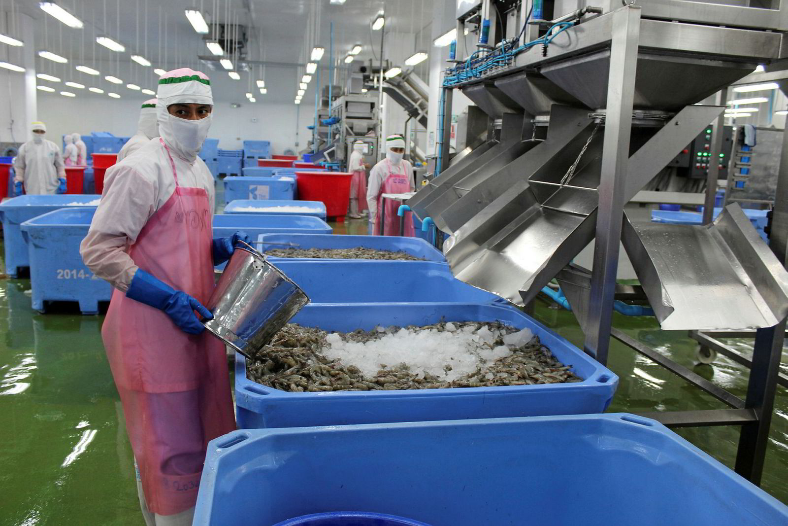 Inside Thai Union's shrimp processing plant