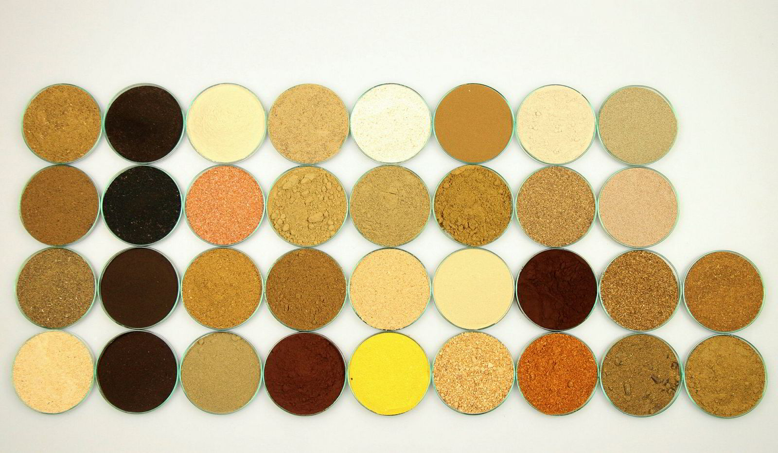 Danish firm launches 'next generation' of trout feed