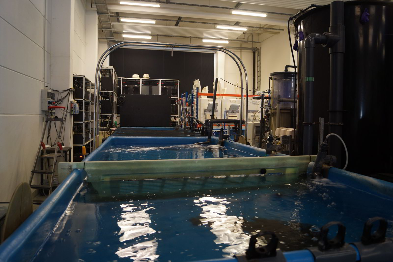 phd germany aquaculture