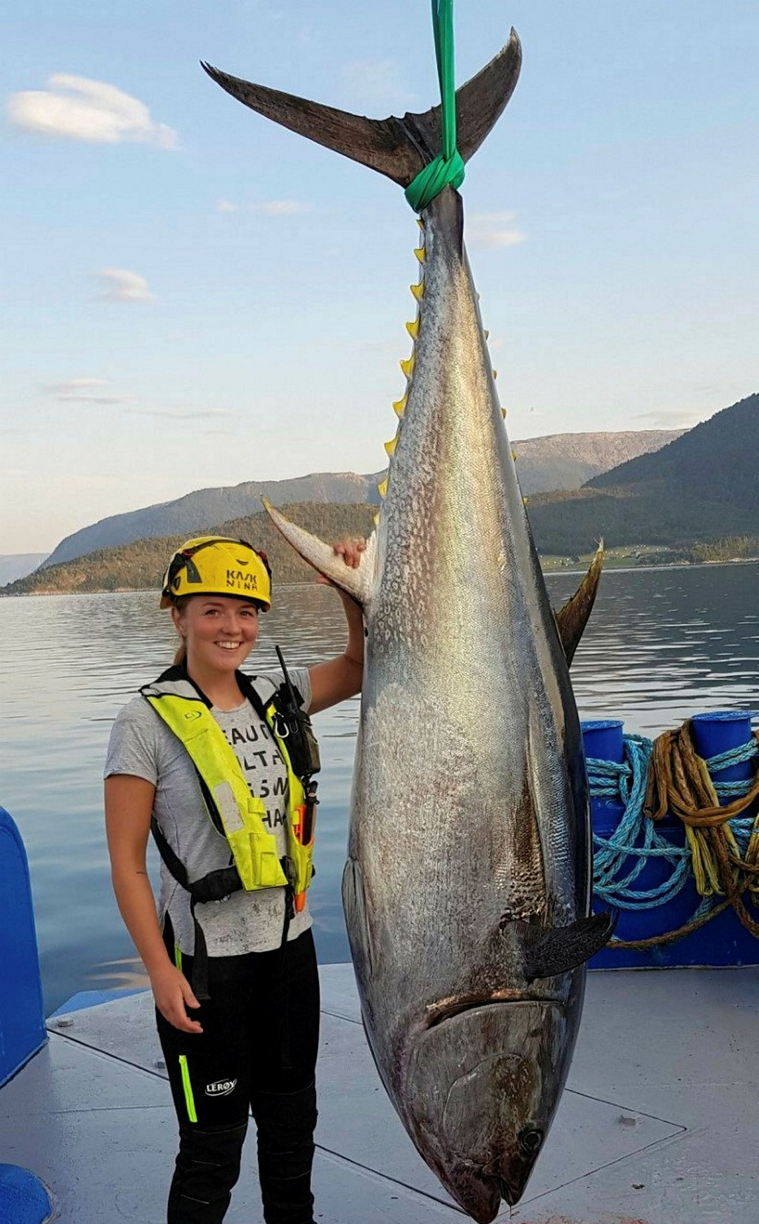 233-kilos-makrellst-rje-i-ler-y-midts-oppdrettsanlegg-i-tr-ndelag