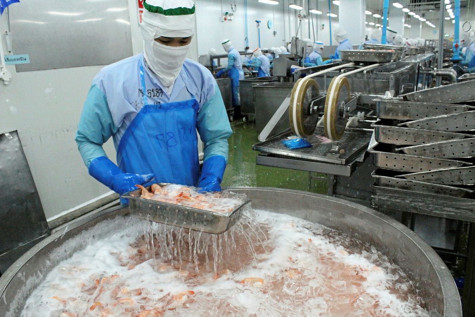 Fish processing ppt picture