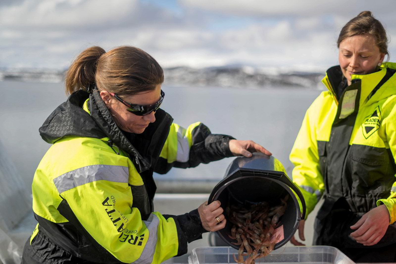Nye teiner gjør levendefangst av dyphavsreker mulig. Øyvind Hesjevik ...