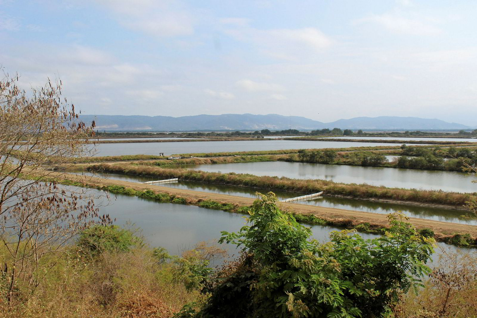 Farmer producer company research paper 08 picture