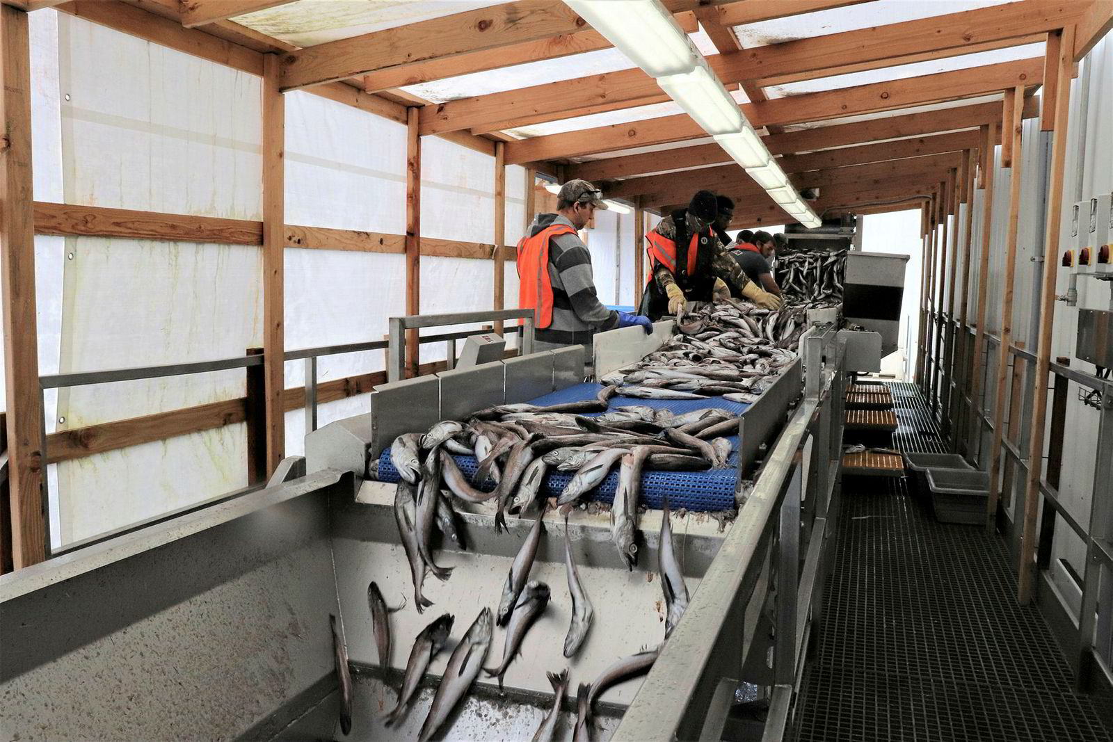 Photo gallery Take a tour of Pacific Seafood's newest processing