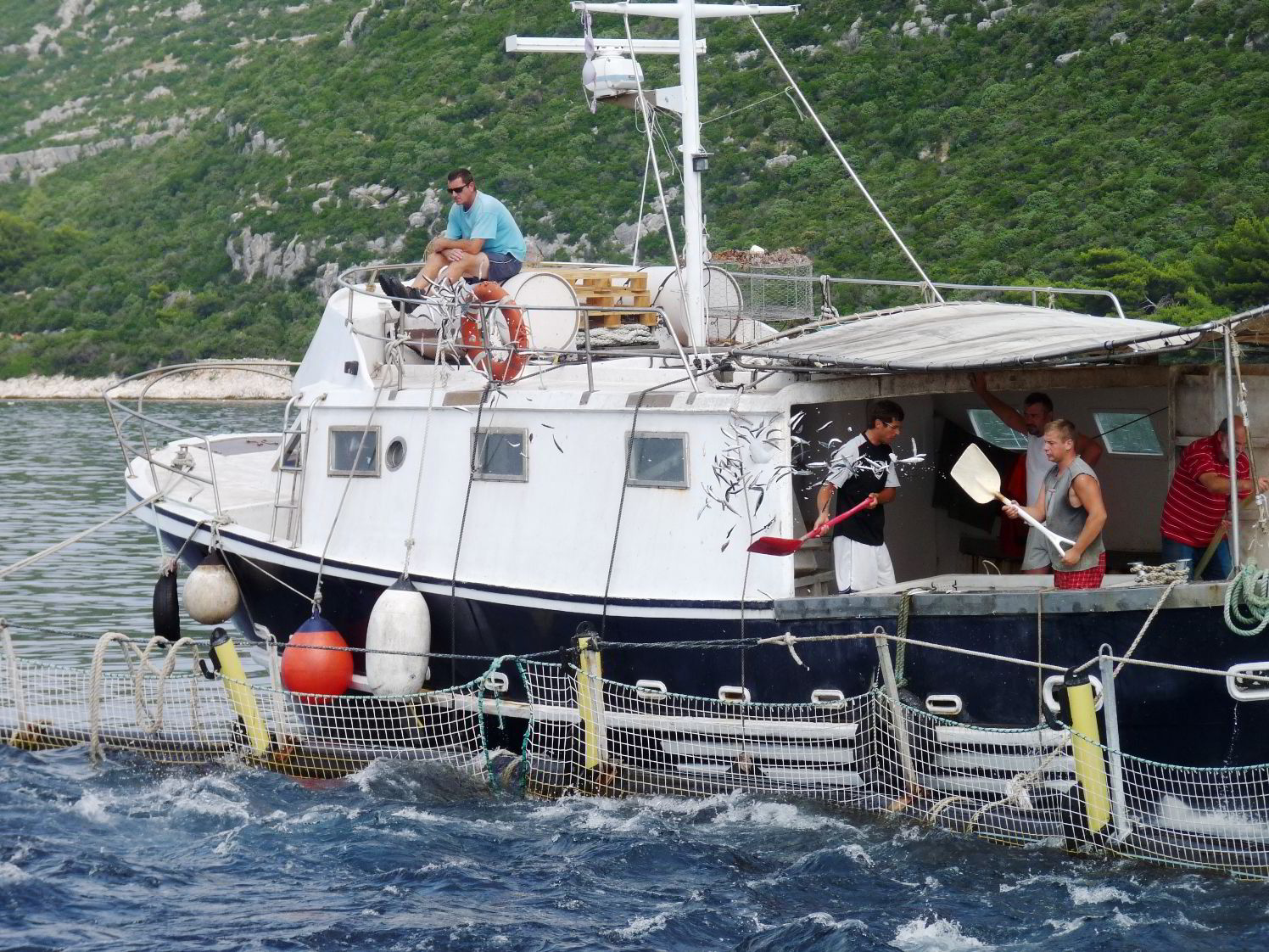 PEbacked group completes bluefin tuna hatchery