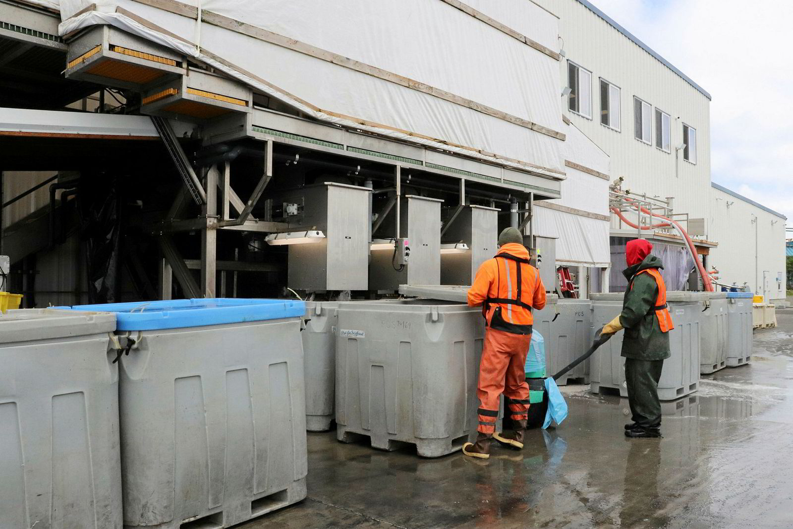 Photo gallery Take a tour of Pacific Seafood's newest processing