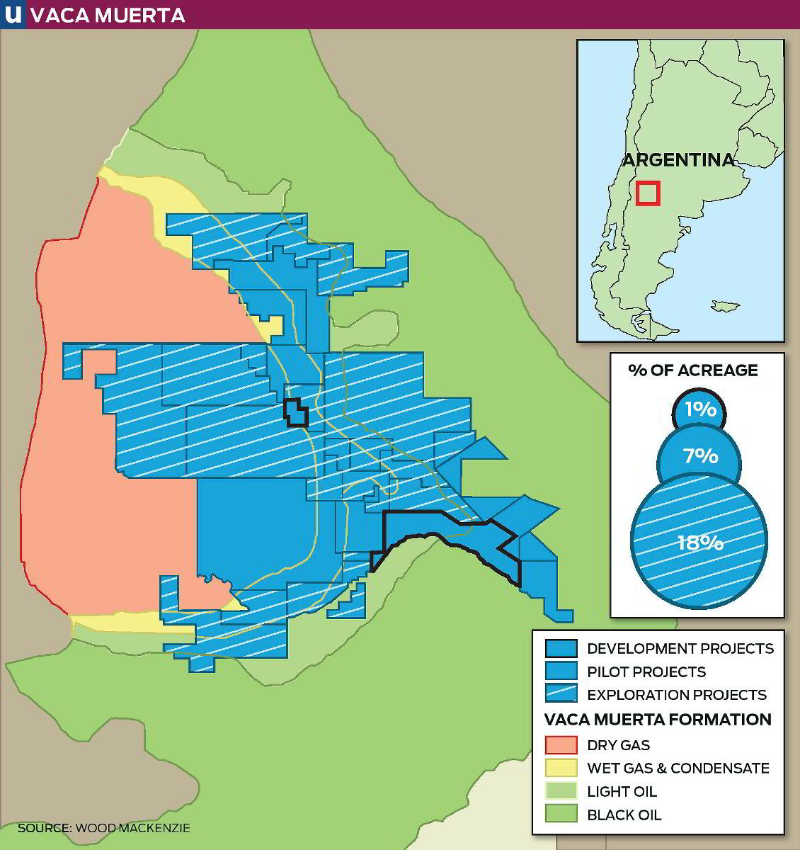 Investment pours in to Vaca Muerta | Upstream Online